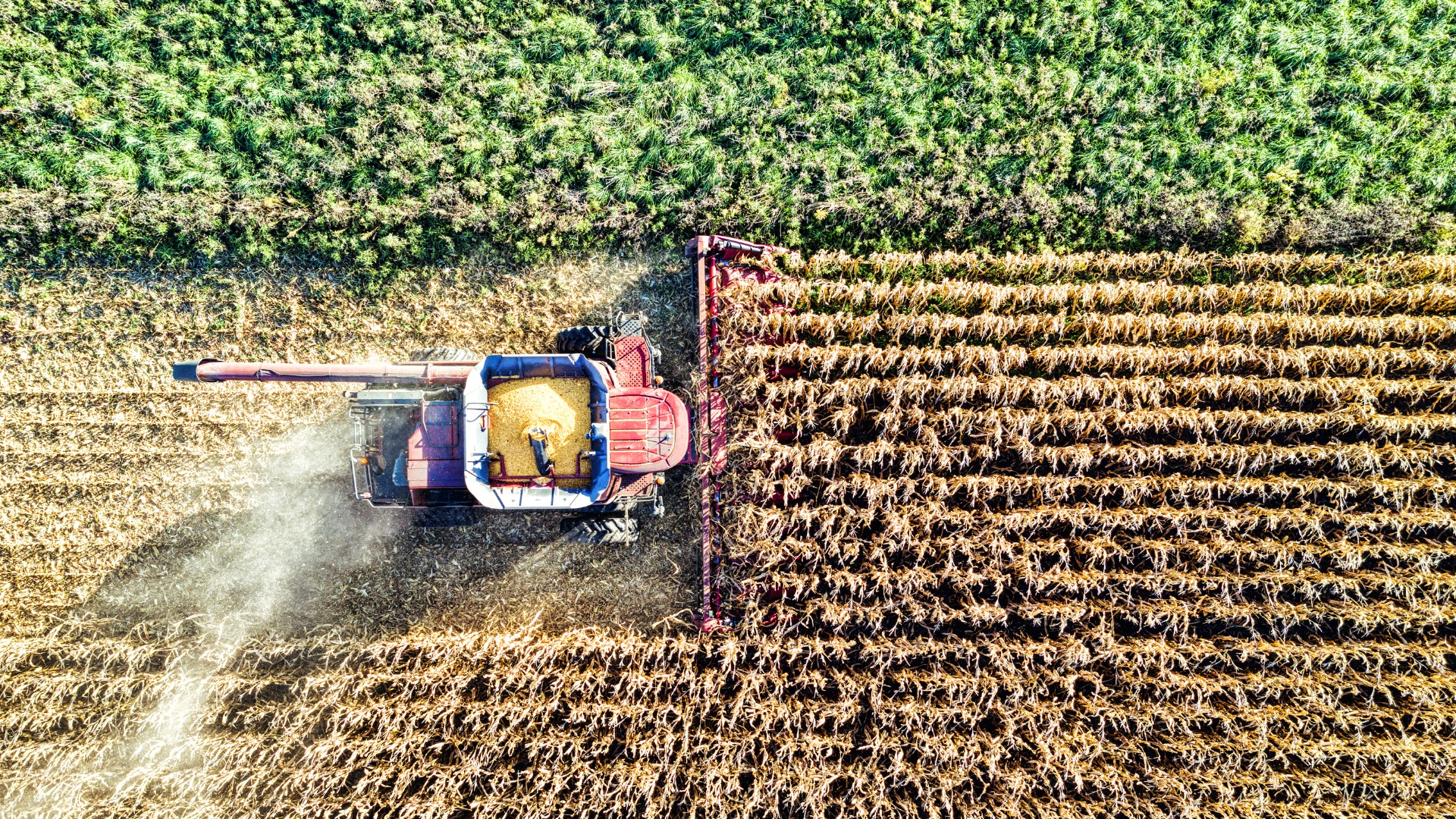 BioFairNet - Stakeholder Workshop - Agriculture Sector - Italy